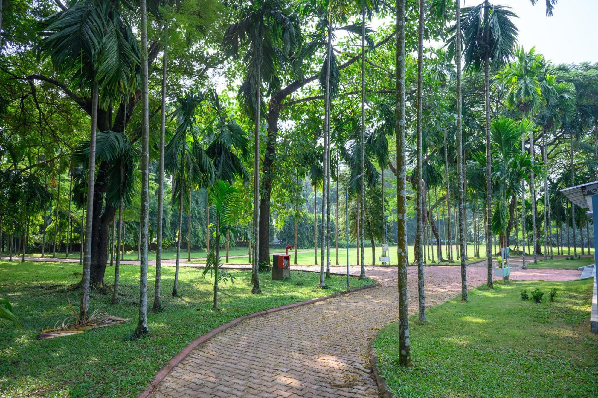 Sinclairs Retreat Dooars, Chalsa Hotel Bagian luar foto