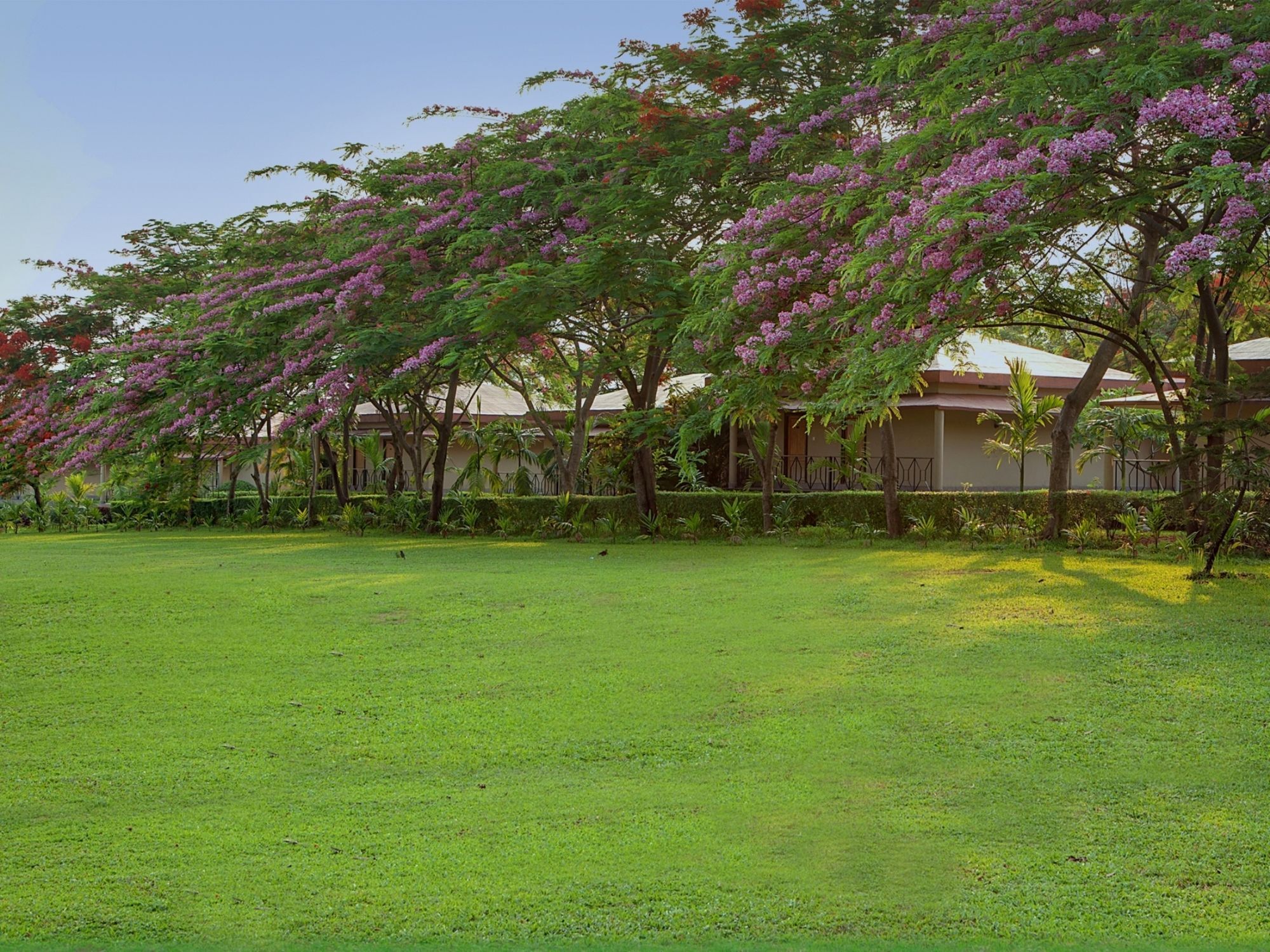 Sinclairs Retreat Dooars, Chalsa Hotel Bagian luar foto